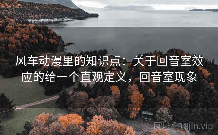 风车动漫里的知识点：关于回音室效应的给一个直观定义，回音室现象  第1张